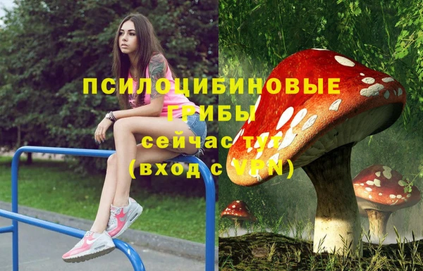 амф Нея